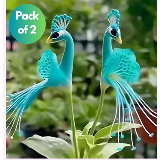 Vibrant Peacock Flower Seeds Pack of 2